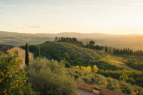 Dealuri din Toscana la apus