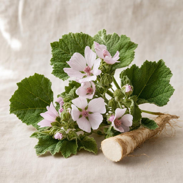 ALTHEA