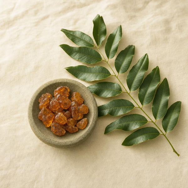 Balsam Tolu